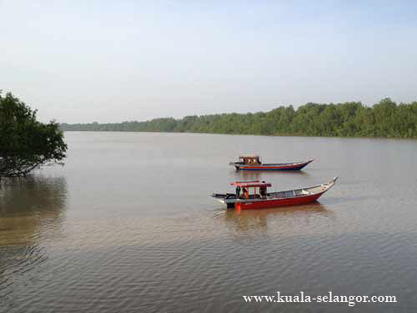 Fishing Boat on the Selangor River