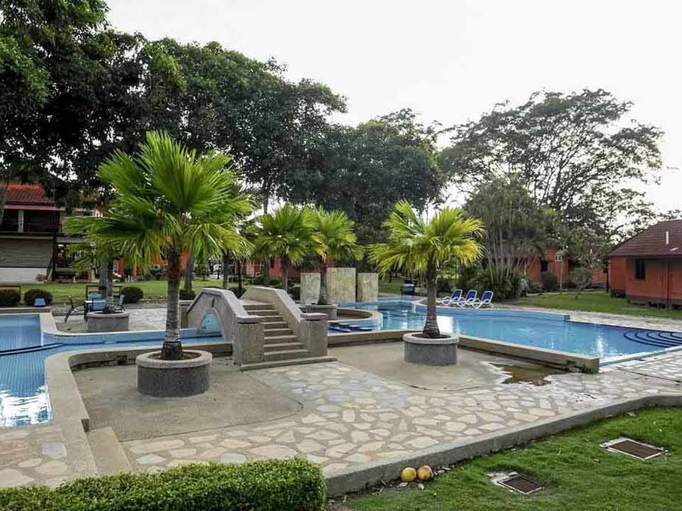 De Palma Eco Resort Kuala Selangor - Swimming Pool